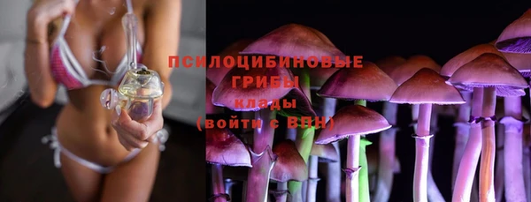 а пвп мука Мегион