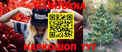 СК Краснодар