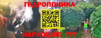 СК Краснодар