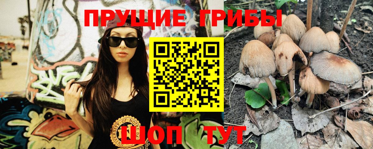 магазин  наркотиков  Вход с VPN  Сунжа  Галлюциногенные грибы Cubensis 