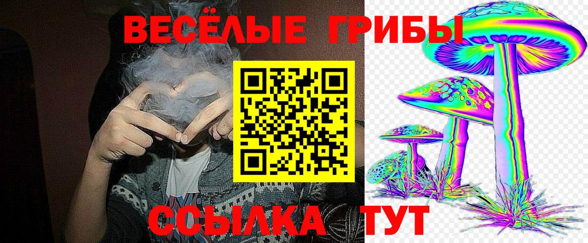 Галлюциногенные грибы Psilocybine cubensis Сунжа