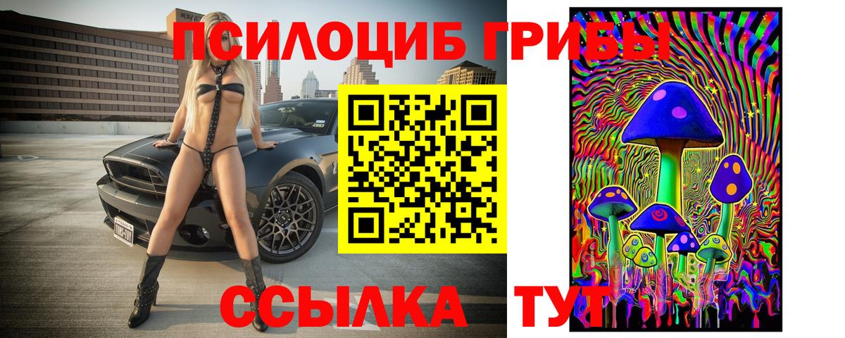 Галлюциногенные грибы Magic Shrooms  Псилоцибиновые грибы MAGIC MUSHROOMS  Сунжа 