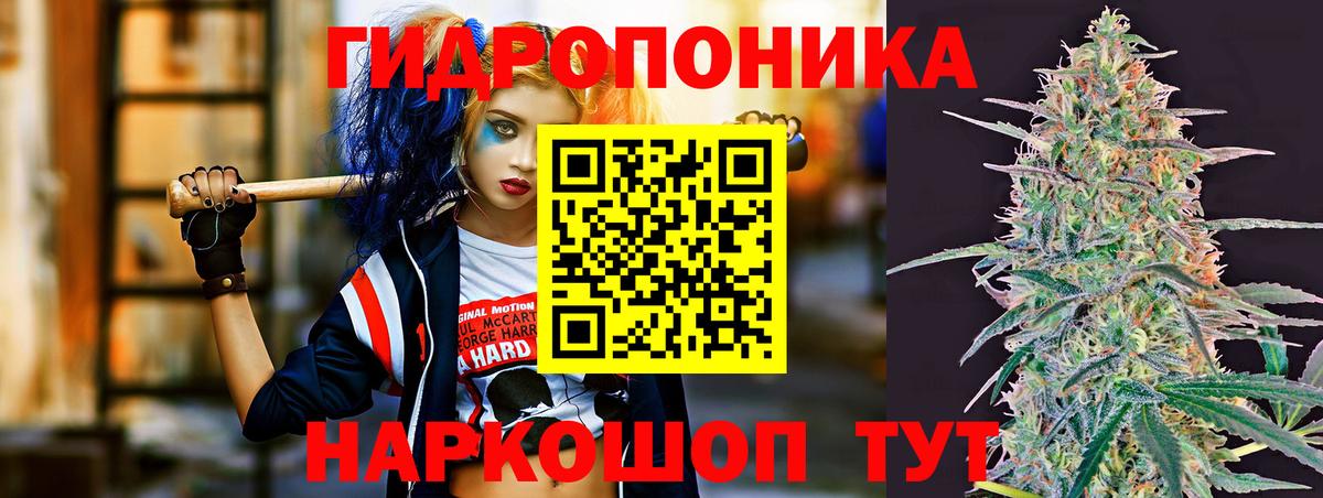 Конопля тримм  Сунжа  Канабис индика  Канабис планчик  Бошки марихуана VHQ 