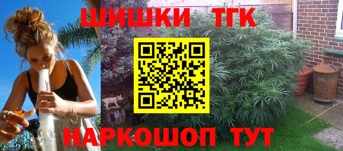 Каннабис MAZAR Сунжа